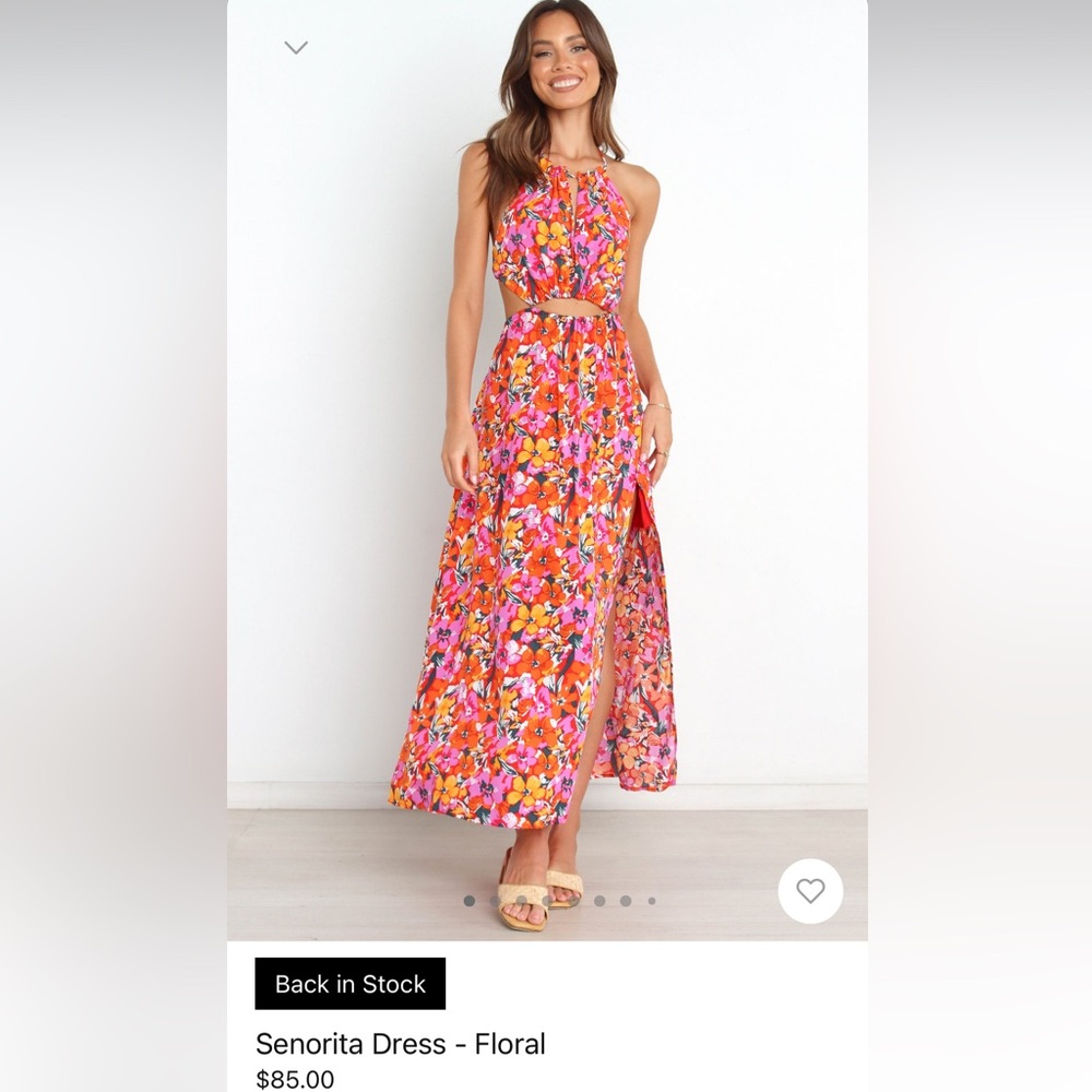Petal and Pup Maxi Dress